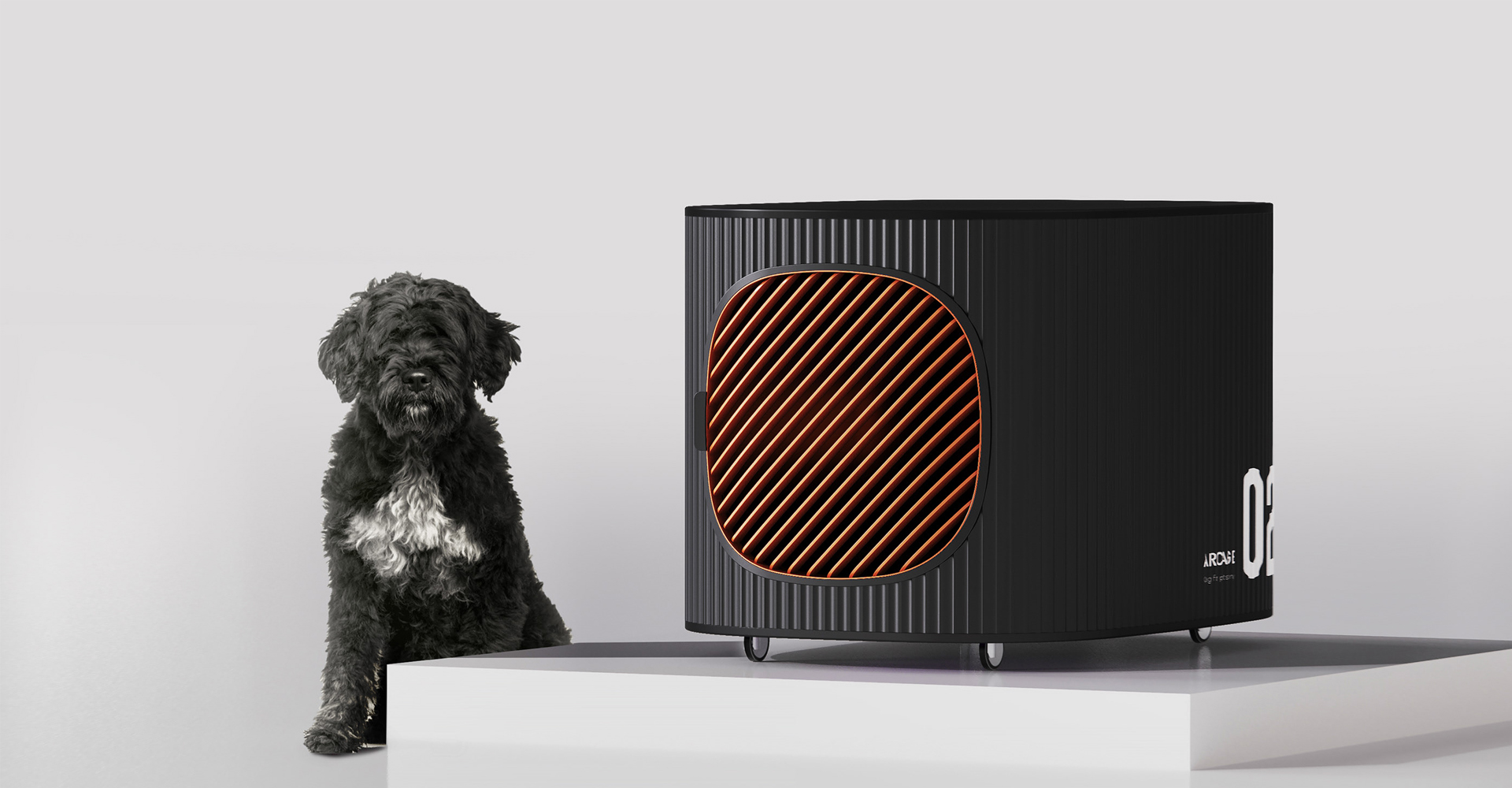 宠物运输笼设计