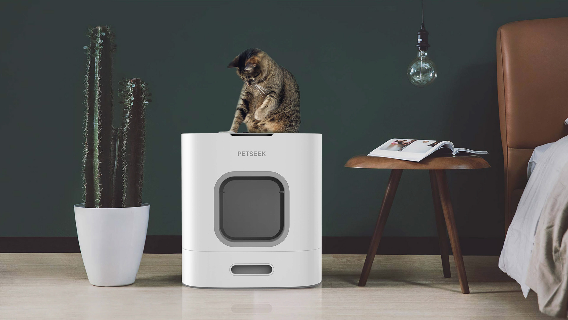 智能猫砂盆设计 智能猫砂盆设计