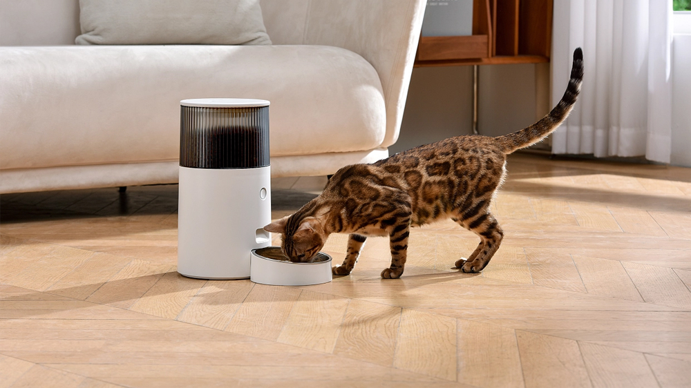 智能宠物自动喂食器设计