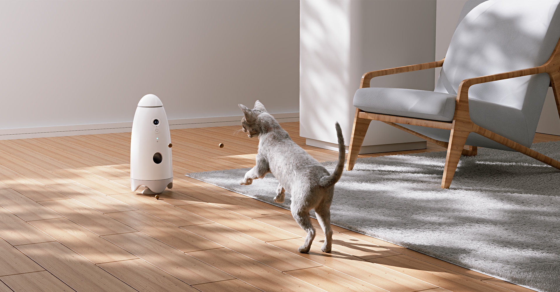 宠物弹食器设计