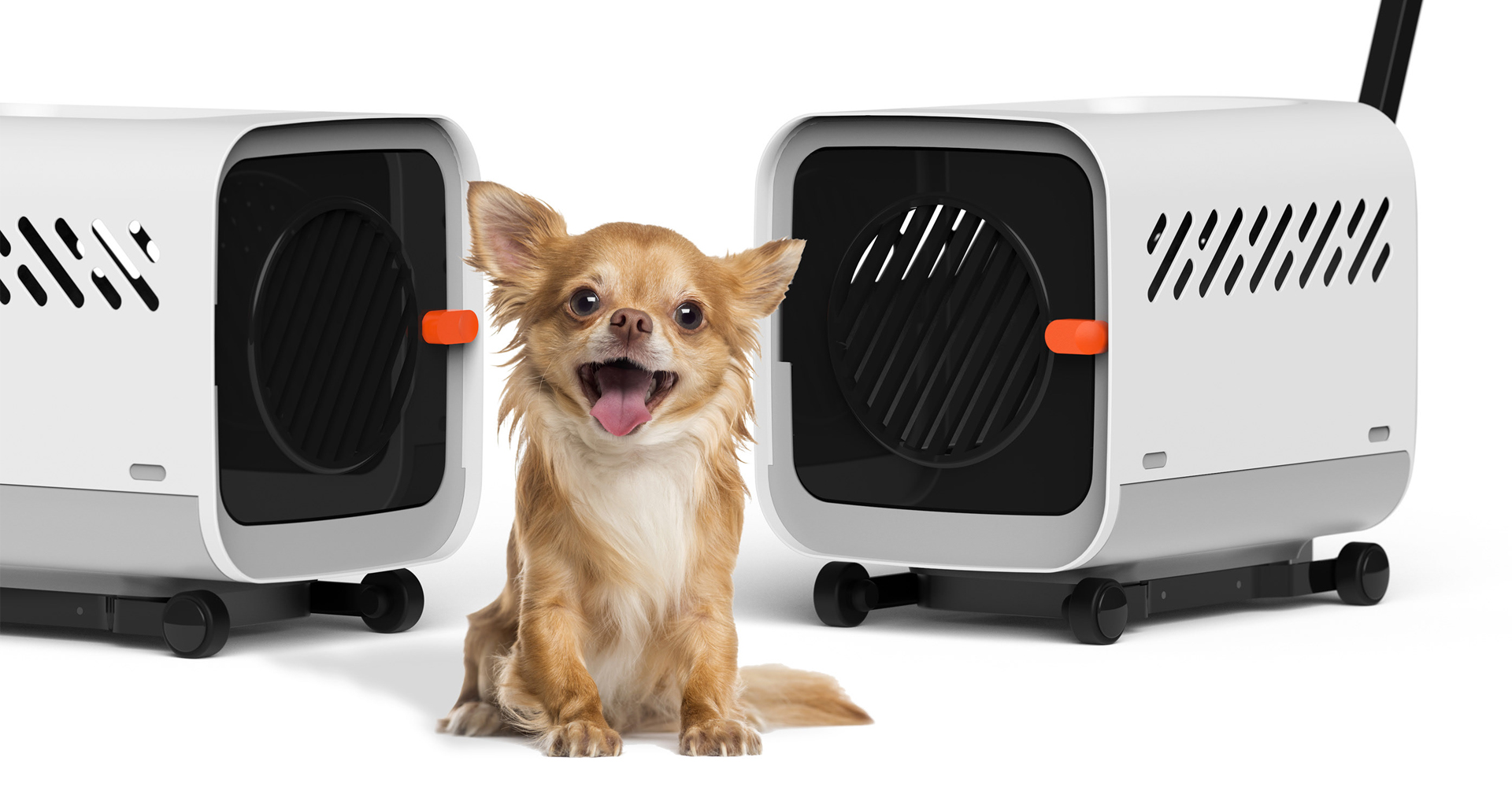 宠物运输笼设计 宠物运输笼设计