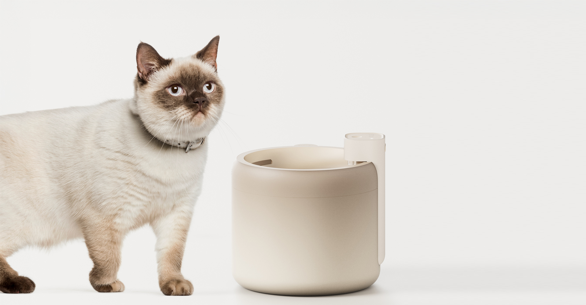 宠物饮水机设计