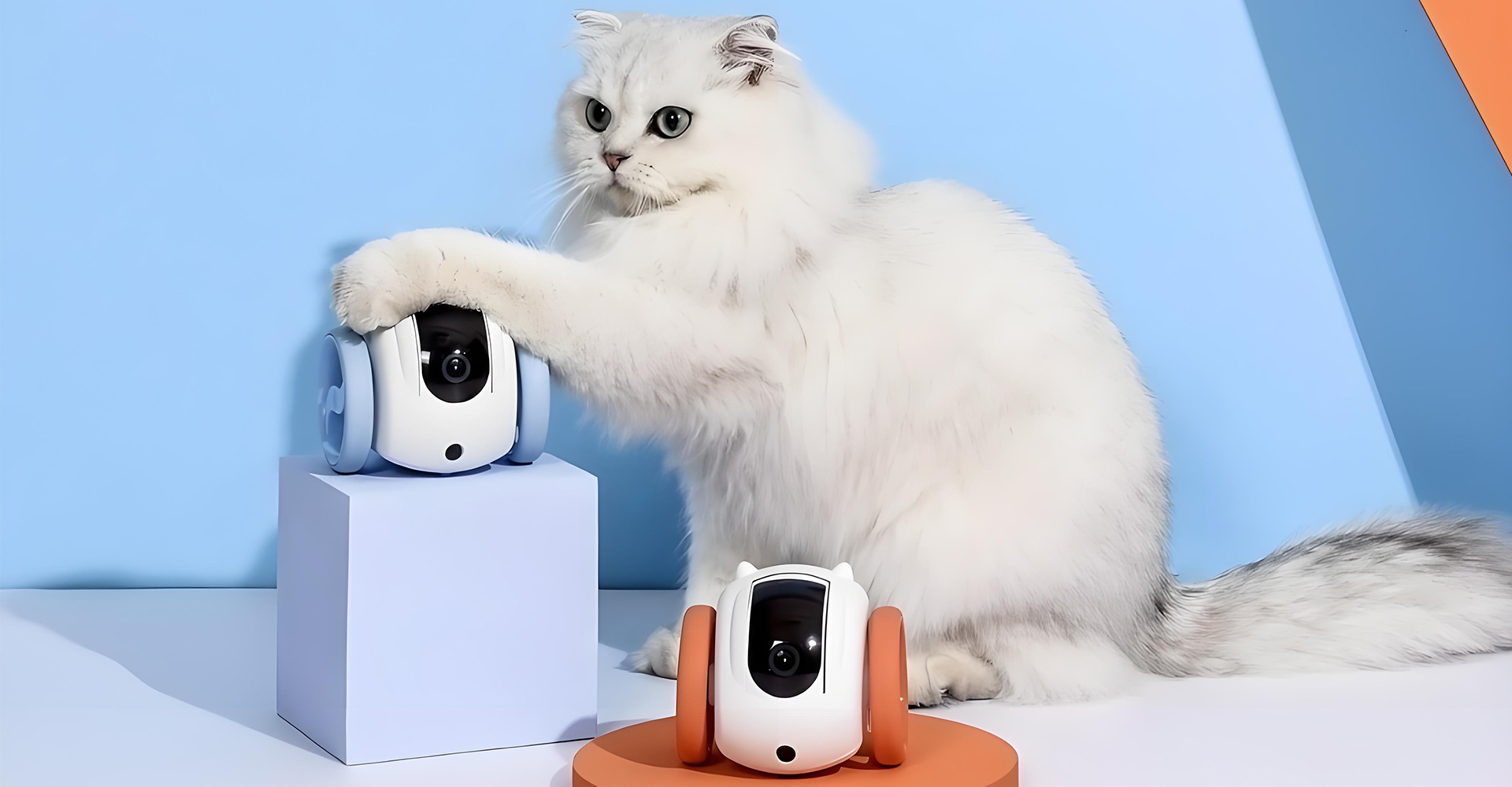 宠物陪伴机器人设计