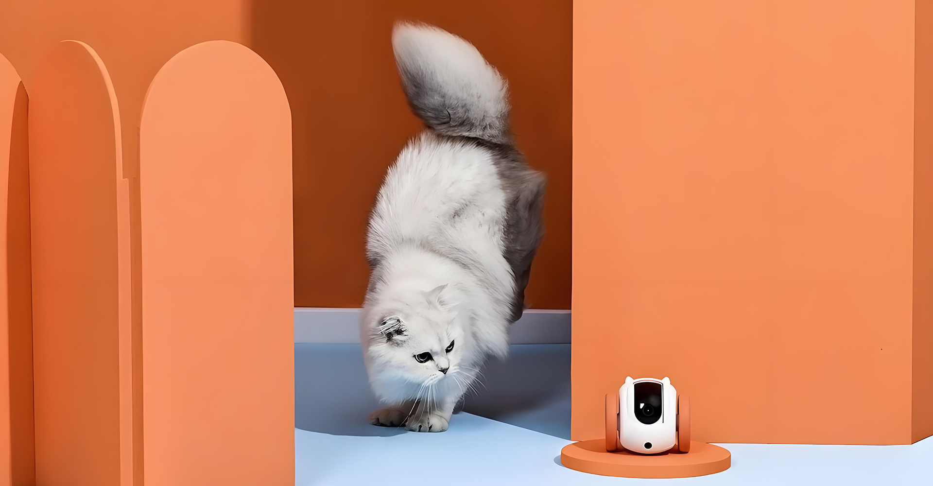 宠物陪伴机器人设计 宠物陪伴机器人设计