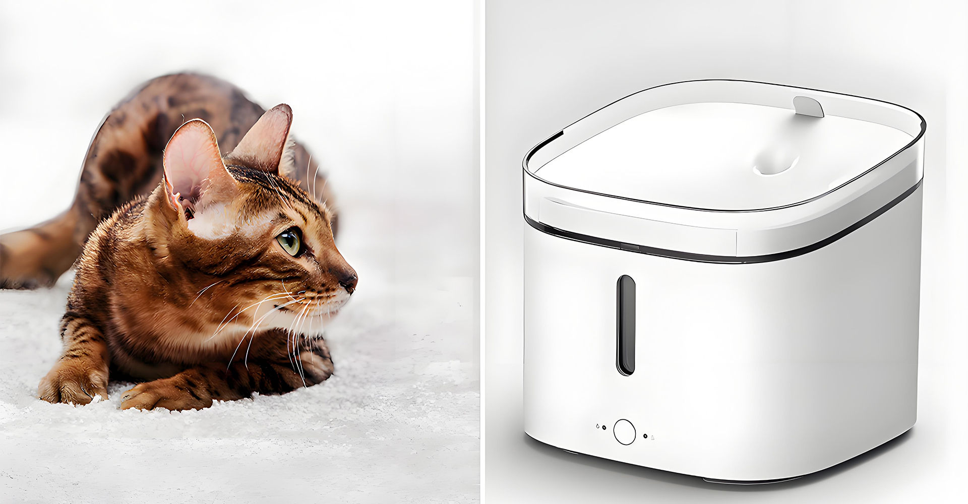 宠物饮水机设计