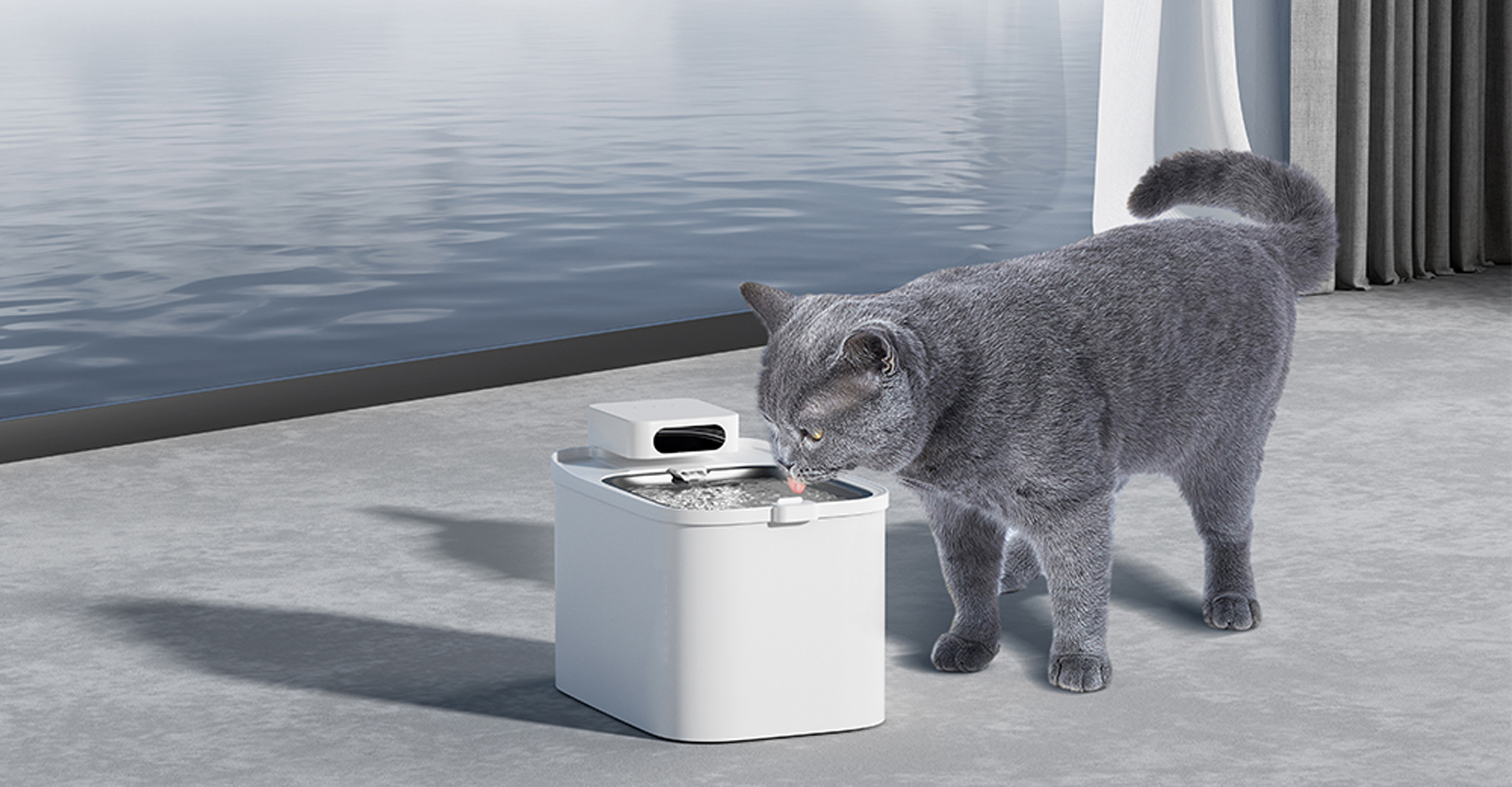 宠物饮水机设计