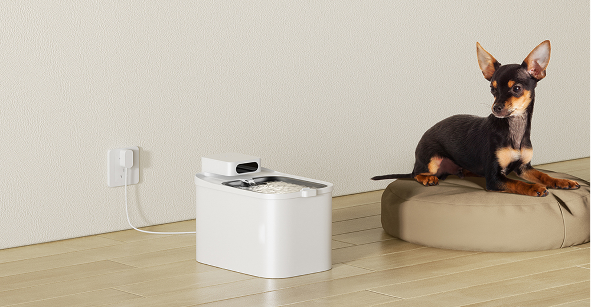 宠物饮水机设计