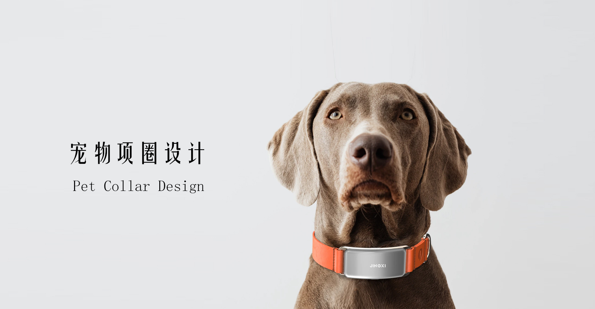 宠物智能项圈造型设计 宠物智能项圈造型设计